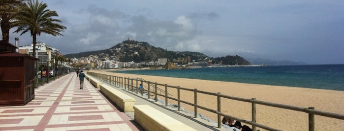 Platja de s'Abanell is one of Jens 님이 좋아한 장소.