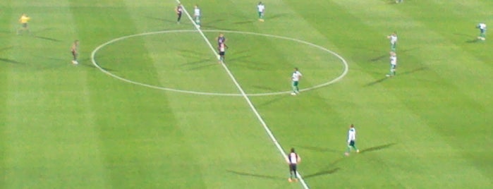 Territorio Santos Modelo Estadio is one of Stadiums.