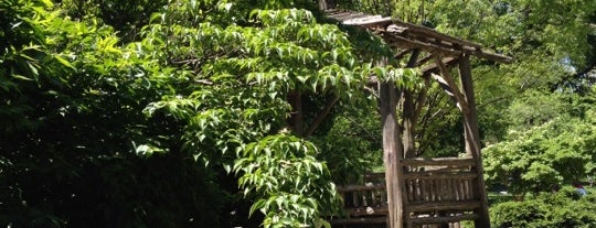 Billy Johnson Playground is one of The Great Outdoors NY.