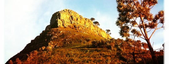 Lions Head Peak is one of No Te Lo Pierdas: Ciudad del Cabo y Alrededores.