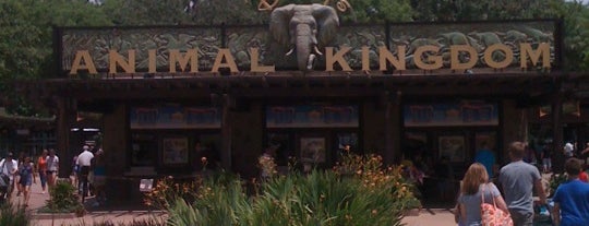 Disney's Animal Kingdom is one of Theme Parks & Roller Coasters.