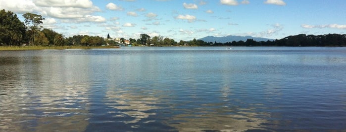 Lake Rotoroa is one of Orte, die Roger gefallen.