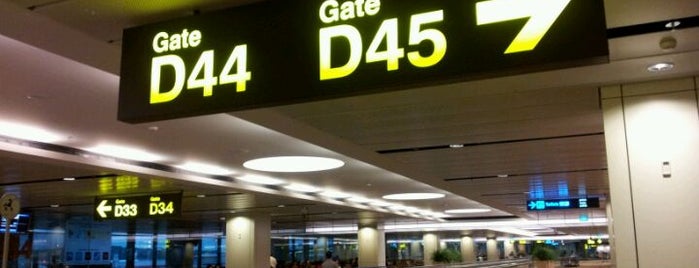 Gate D44 is one of SIN Airport Gates.