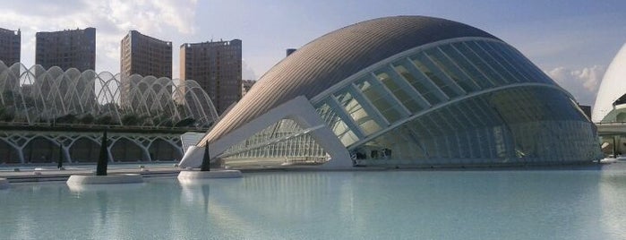 Top 10 favorites places in Valencia, España