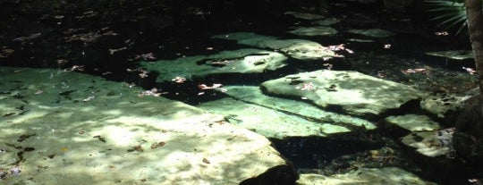 Cenote Azul is one of México (Riviera Maya).