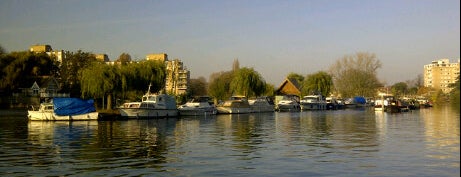 The Boater's Inn is one of London's best riverside pubs and bars.