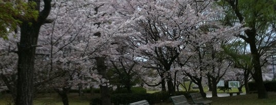 春日公園 is one of Only In Japan 　　　　　　　　　　　　日本の観光名所.