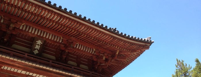 天野山 金剛寺 is one of 多宝塔 / Two Storied Pagoda in Japan.