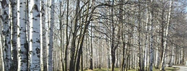 Udelny Park is one of Мои прогулки.