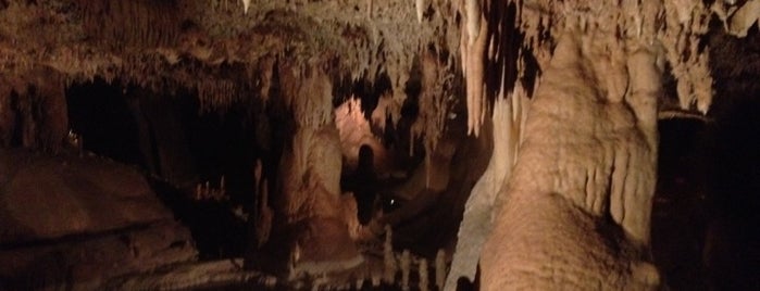 Inner Space Caverns is one of Day Trips.