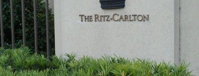The Ritz-Carlton, Dallas is one of Pet-Friendly DFW.
