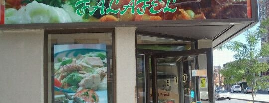 Best Shawarma & Falafel is one of ZaraBaladiFood Review.