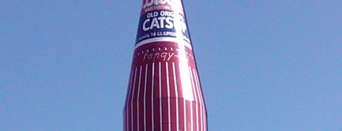 World's Largest Catsup Bottle is one of Weird Museums and Roadside Attractions.