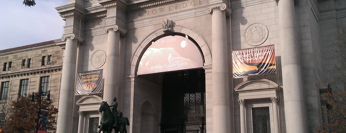 Metropolitan Museum of Art is one of Best Museums In New York City.