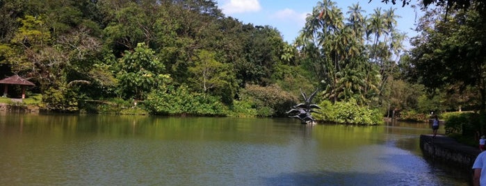 Singapore Botanic Gardens is one of 子連れでシンガポール観光.