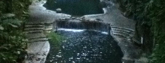 Hidden Valley Springs is one of (((ekin)))さんの保存済みスポット.