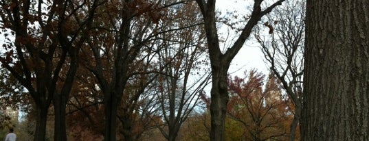 Central Park - NYRR Race to Deliver is one of Lugares guardados de PenSieve.