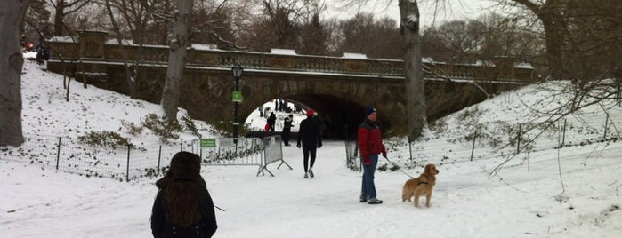 Central Park is one of Landmarks.