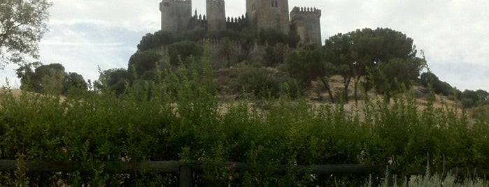 Castillo de Almodóvar is one of Castillos y fortalezas de España.