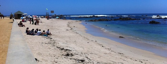 Playa El Pejerrey is one of Lugares favoritos de Lily.