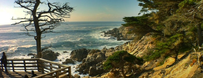 17 Mile Drive is one of Monterey Spots.