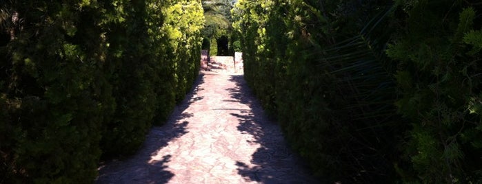 Κτήμα Σ. Μπραϊμνιώτη is one of Lieux sauvegardés par mariza.