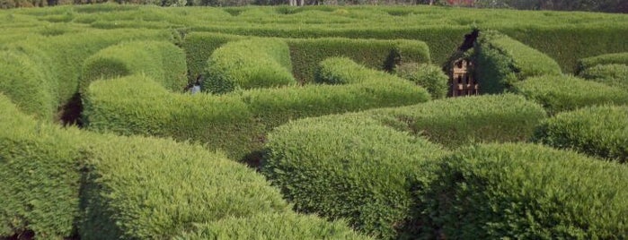 Jeju Kimnyoung Maze Park is one of 제주도투어.