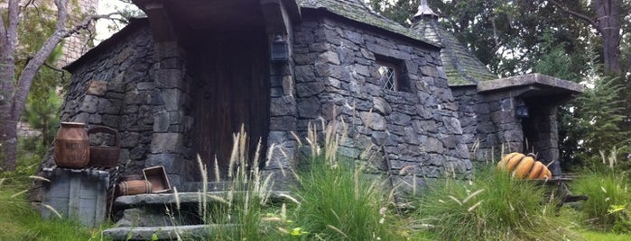 Flight of the Hippogriff is one of Universal's Islands of Adventure - Orlando Florida.