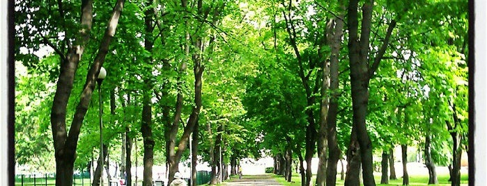 Tiigiveski park is one of Great Outdoors in Tallinn.