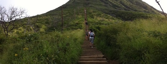 Koko Head Crater Trail is one of The Places that I Have Been to in Honolulu, HI.