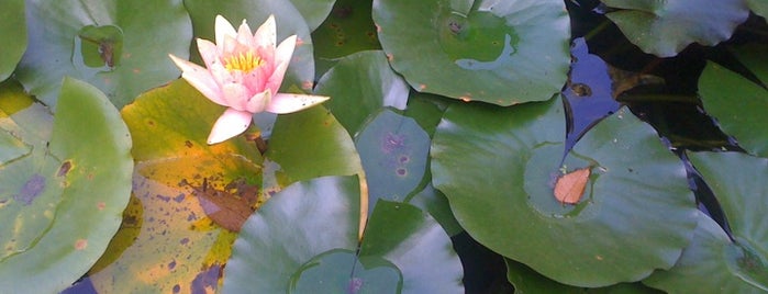 UC Berkeley Botanical Gardens is one of Show your family the campus.