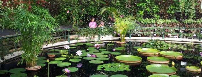 Royal Botanic Gardens is one of Serres et verrières🌿.