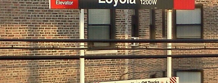 CTA - Loyola is one of CTA Red Line.