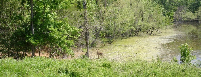 Enterprise South Nature Park is one of Great Hiking in SE Tennessee.