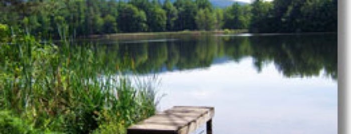 Lake Shaftsbury State Park is one of St Albans to Ashfield.