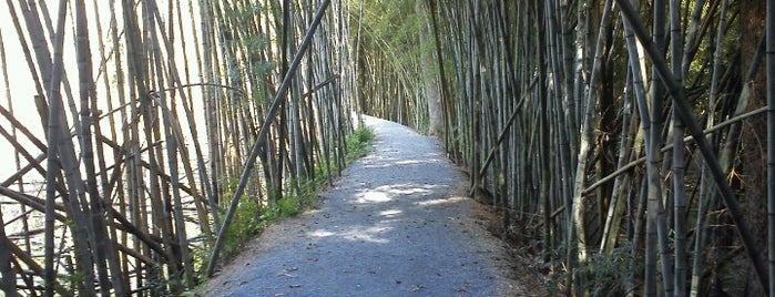Wilderness Park / Bamboo Forest is one of Lugares favoritos de danielle.