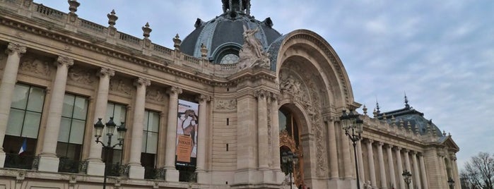 Petit Palais is one of chrismise goes to Paris.