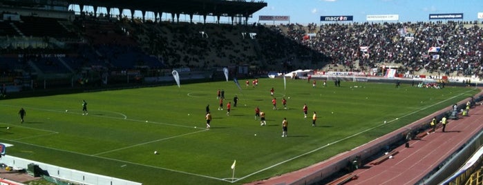 Stadio Renato Dall'Ara is one of Stadi Serie A.