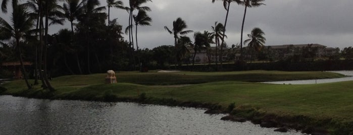 Kauai Lagoons Golf Club is one of Golf in Kauai.