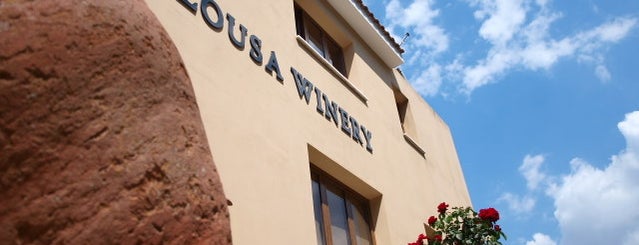 Ezousa Winery is one of Wine Tastings.