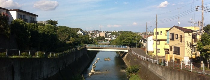 中根橋 is one of 帷子川に架かる橋と周辺の公園・史跡.