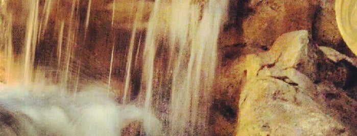 Trevi Fountain is one of Posti che sono piaciuti a Ton.