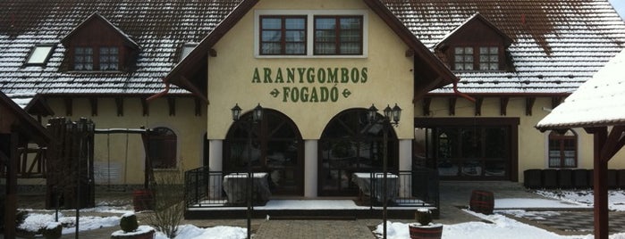 Aranygombos Fogadó is one of HU countryside.