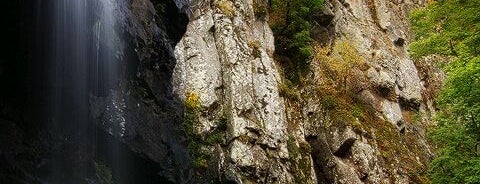Боянски водопад is one of Giggi : понравившиеся места.
