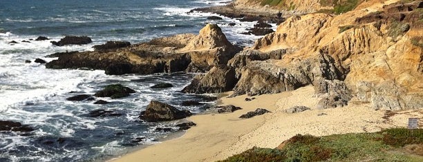 Bodega Head is one of Sonoma Coast.