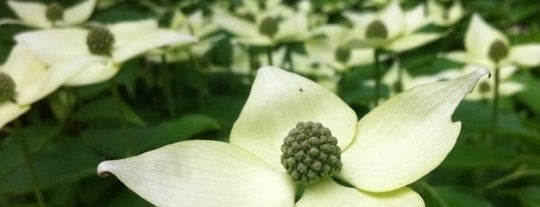 The Huckleberry Trail (Northern Entrance) is one of Locais curtidos por Colin.