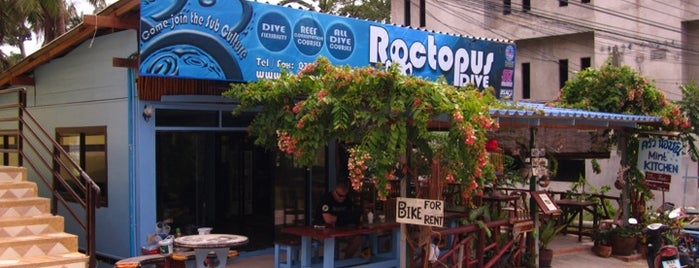 Roctopus Dive is one of Koh Tao Dive Centres.