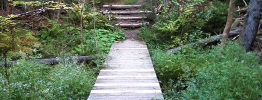 Goddard College Hiking & Walking Trails is one of VT/NH to-do list.