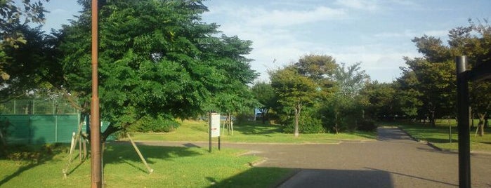 高洲中央公園 is one of 新浦安周辺の公園.