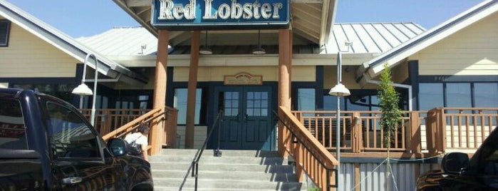 Red Lobster is one of The 11 Best Places for Shrimp Scampi in El Paso.